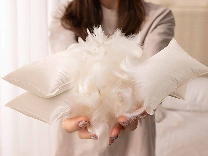 純棉表布水鳥羽絨枕